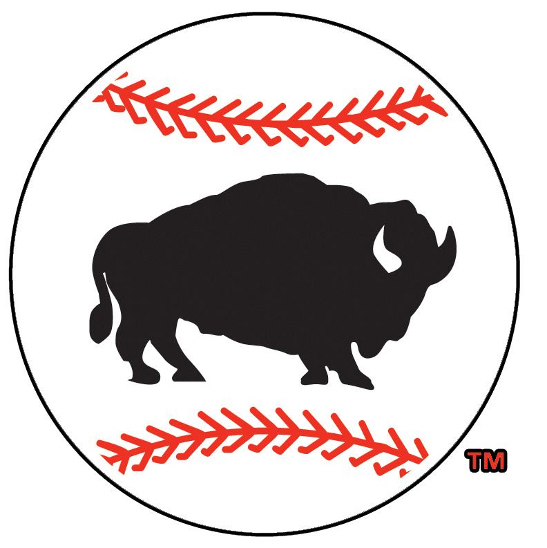 Buffalo Bisons 2005-2008 Alternate Logo iron on transfers for clothing
